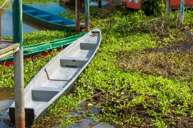 El Llanito - Barrancabermeja - Colombia