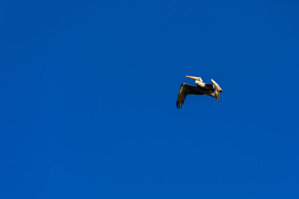 Puerto Velero - Barranquilla - Atlántico - Colombia