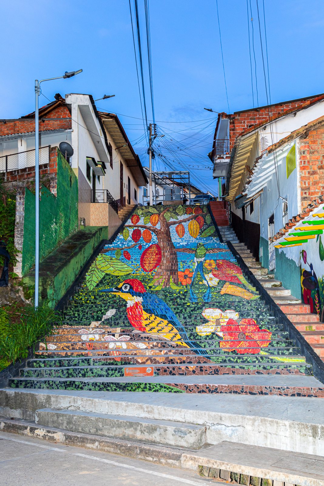 Jeytwo Travel - San Vicente de Chucurí - Santander