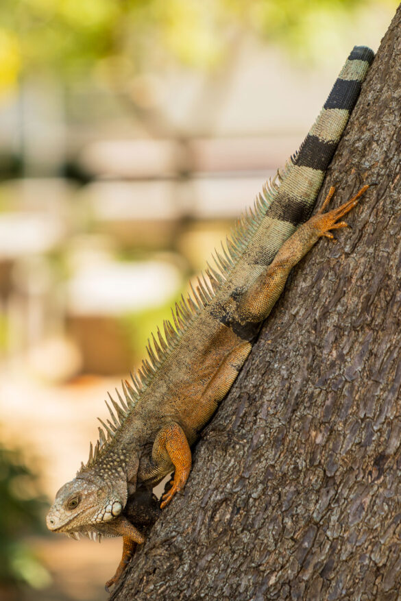 Jeytwotravel - Presentacion de Colombia
