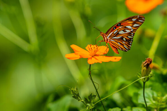 Jeytwotravel - Presentacion de Colombia