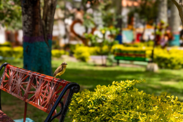 Jeytwotravel - Presentacion de Colombia