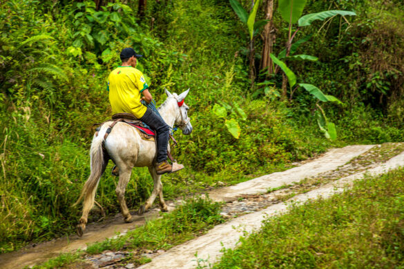 Jeytwotravel - Presentacion de Colombia