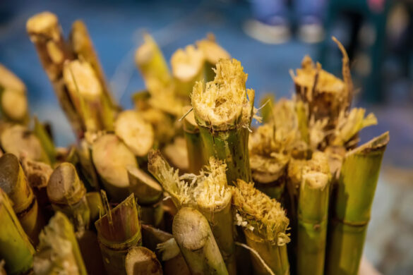 Jeytwotravel - Presentacion de Colombia