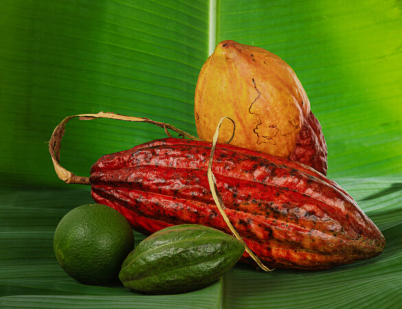 Jeytwotravel - Presentacion de Colombia