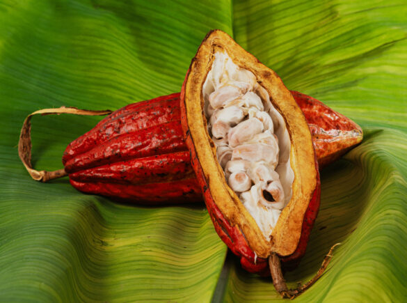 Jeytwotravel - Presentacion de Colombia